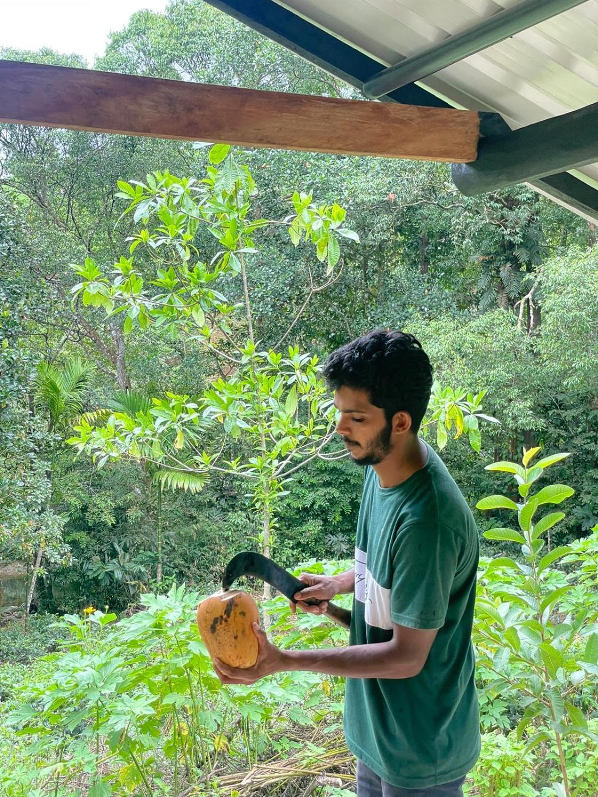 Rainforest Cabin 代尼耶耶 外观 照片