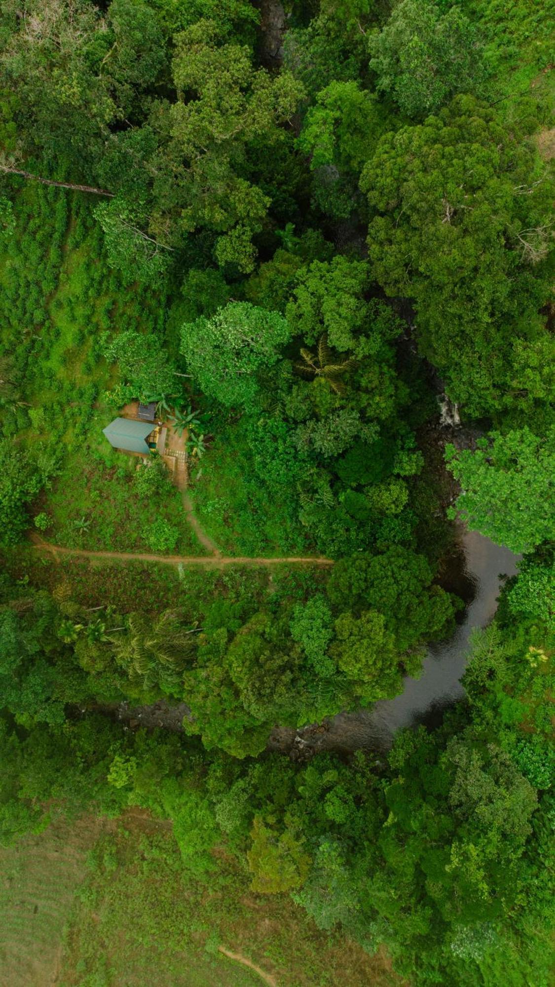 Rainforest Cabin 代尼耶耶 外观 照片